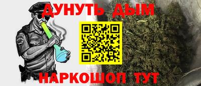 сатива Краснокаменск