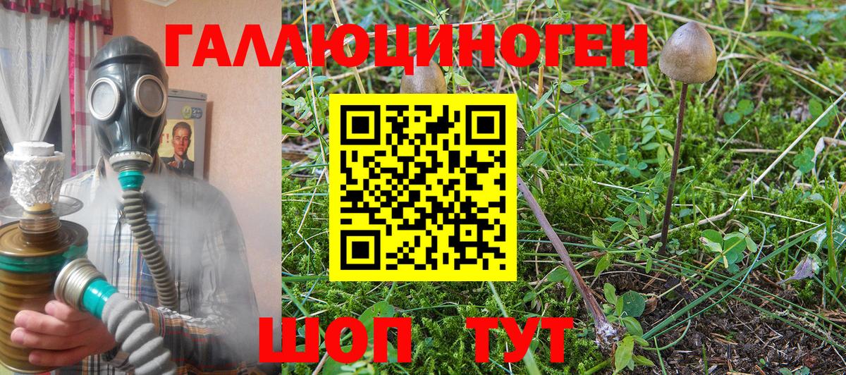 Каменск-Уральский  Галлюциногенные грибы GOLDEN TEACHER  Вход с VPN  Галлюциногенные грибы ЛСД 