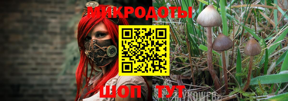 Псилоцибиновые грибы MAGIC MUSHROOMS Каменск-Уральский